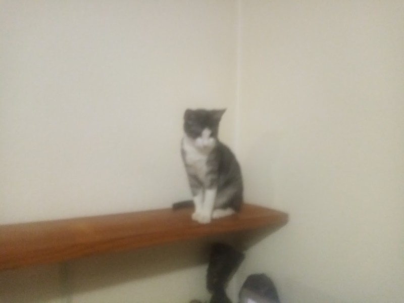 Princess Mimi of the zoza1958 family