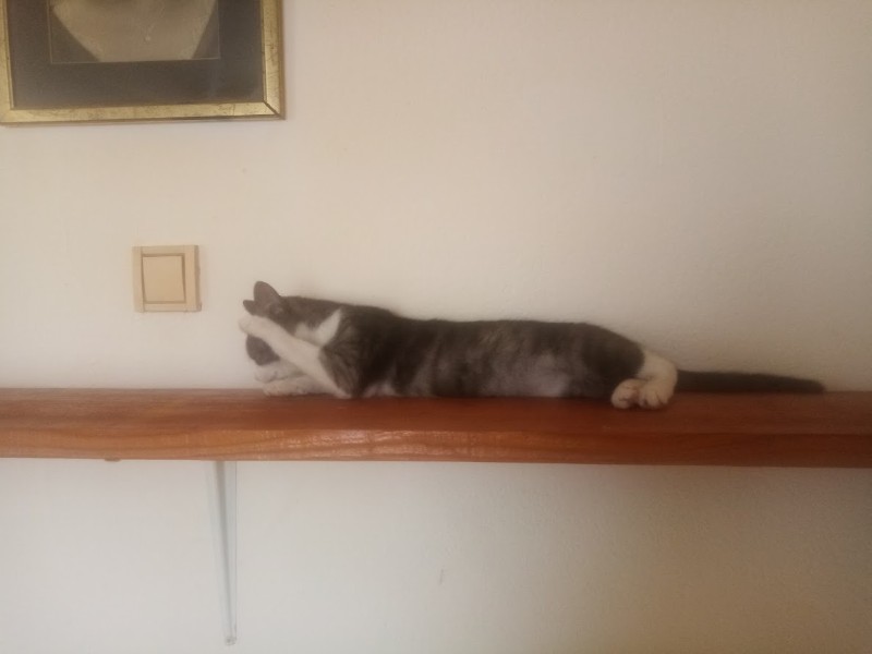 zoza1958 uploaded   37  day/s  ago