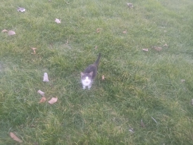 zoza1958 uploaded   157  day/s  ago