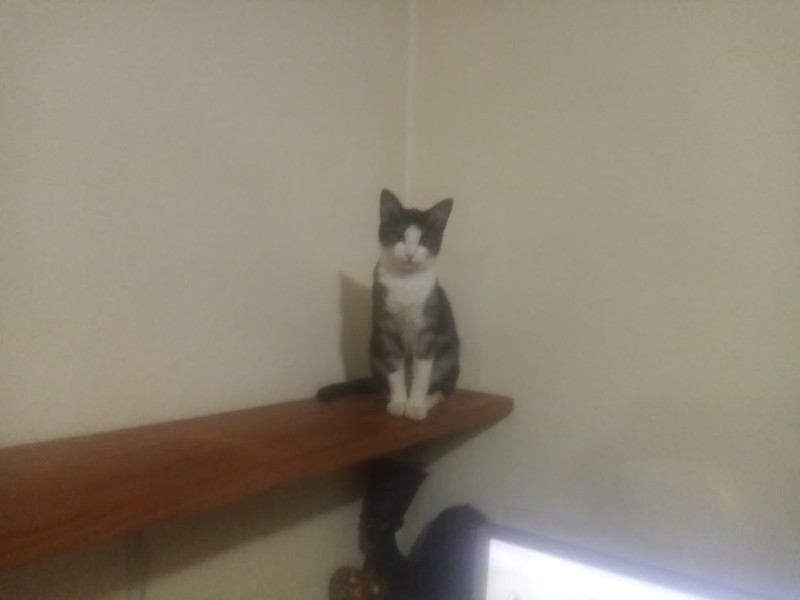 Princess Mimi of the zoza1958 family