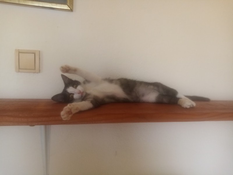 zoza1958 uploaded   37  day/s  ago