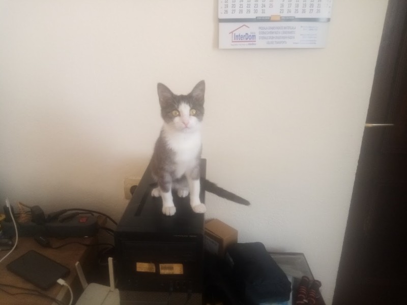 zoza1958 uploaded   100  day/s  ago