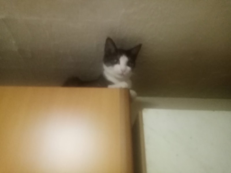 zoza1958 uploaded   78  day/s  ago