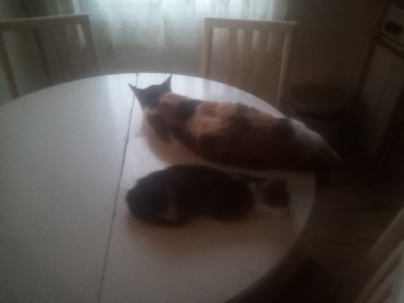 zoza1958 uploaded   150  day/s  ago