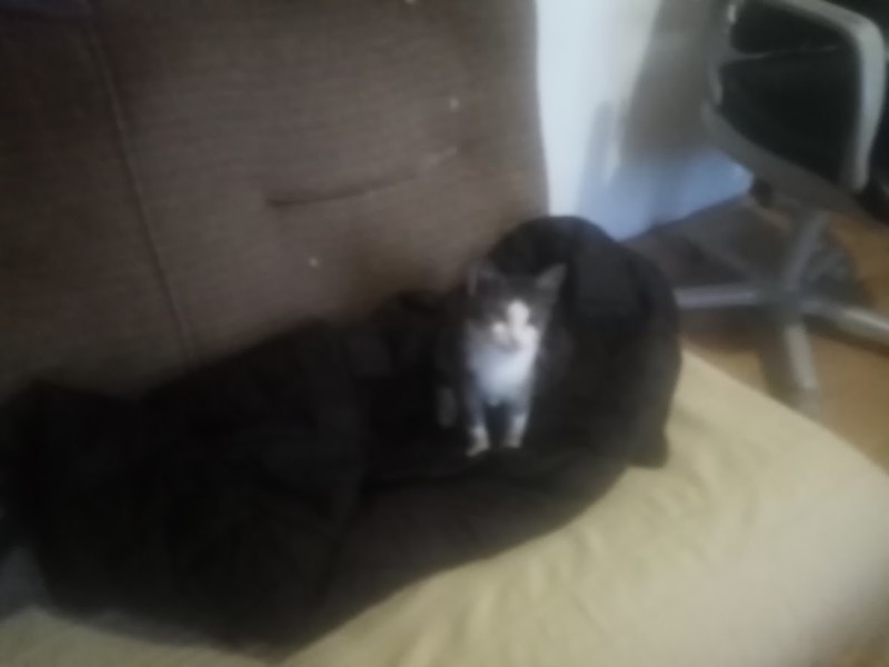 Princess Mimi of the zoza1958 family