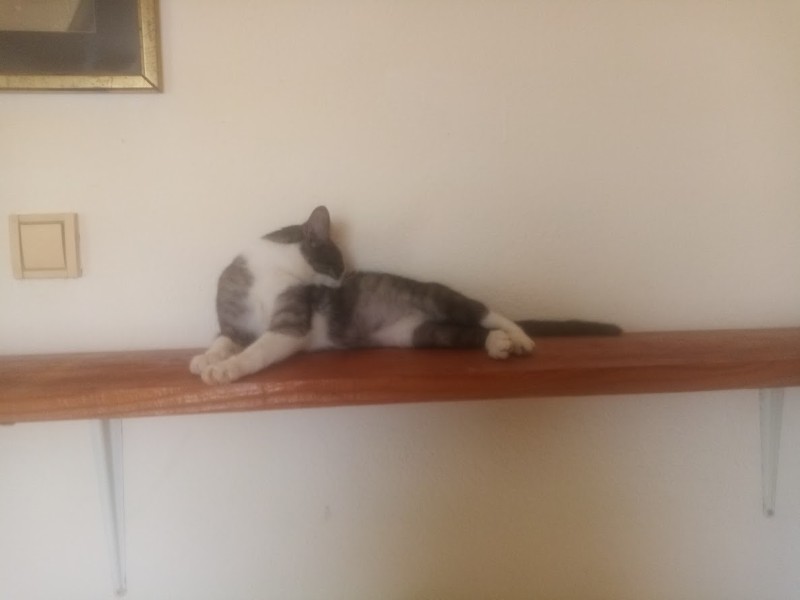 zoza1958 uploaded   37  day/s  ago