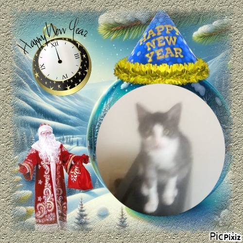 Princess Mimi of the zoza1958 family