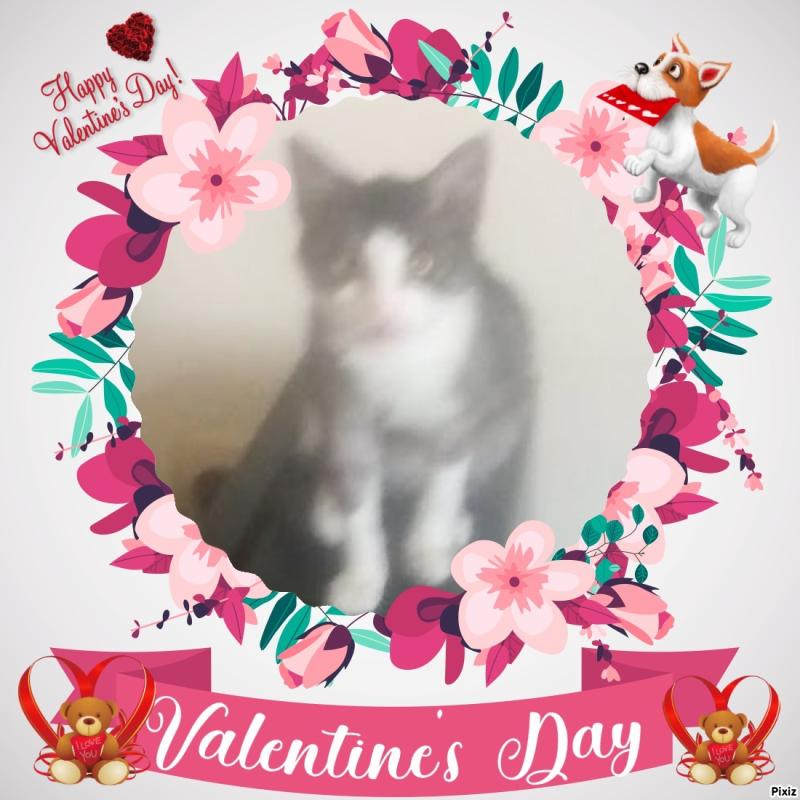 Princess Mimi of the zoza1958 family