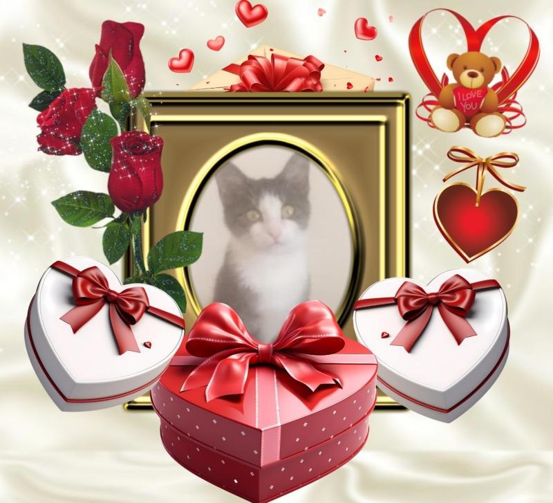 Princess Mimi of the zoza1958 family