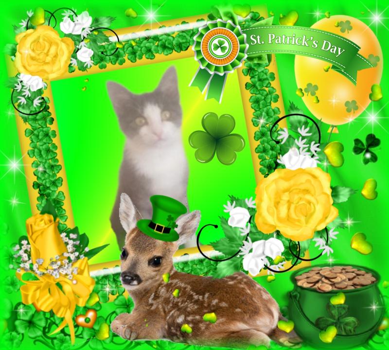 zoza1958 uploaded   31  day/s  ago