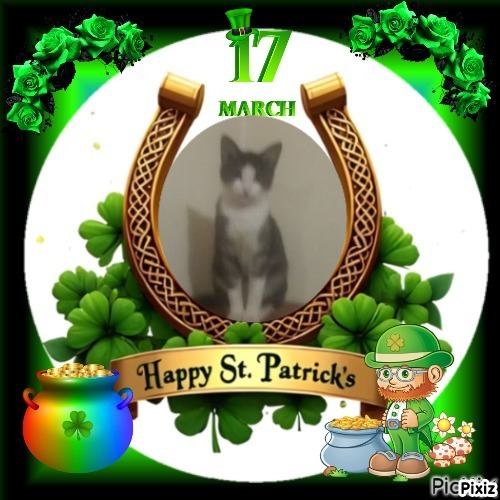 Princess Mimi of the zoza1958 family