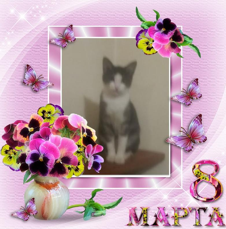 zoza1958 uploaded   46  day/s  ago