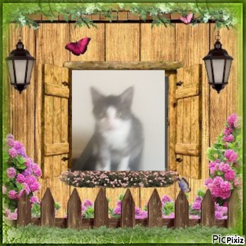 Princess Mimi of the zoza1958 family