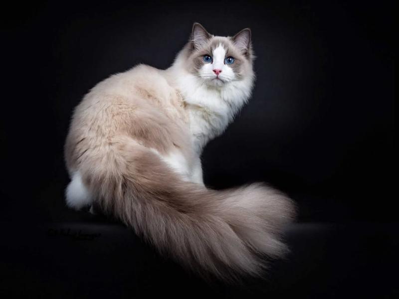 zoza1958 uploaded   78  day/s  ago