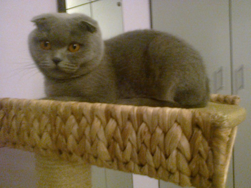 zoza1958 uploaded   78  day/s  ago