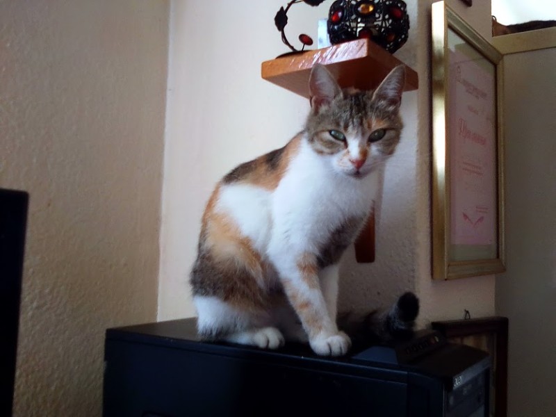 zoza1958 uploaded   78  day/s  ago