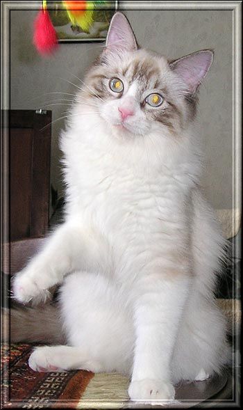 zoza1958 uploaded   31  day/s  ago