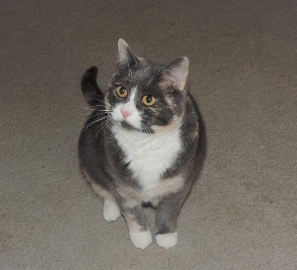 zoza1958 uploaded   78  day/s  ago