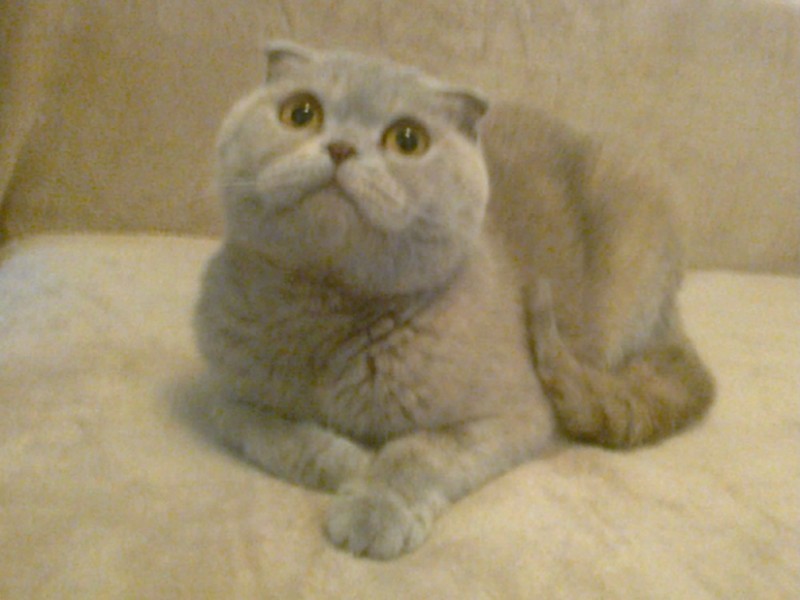 zoza1958 uploaded   78  day/s  ago