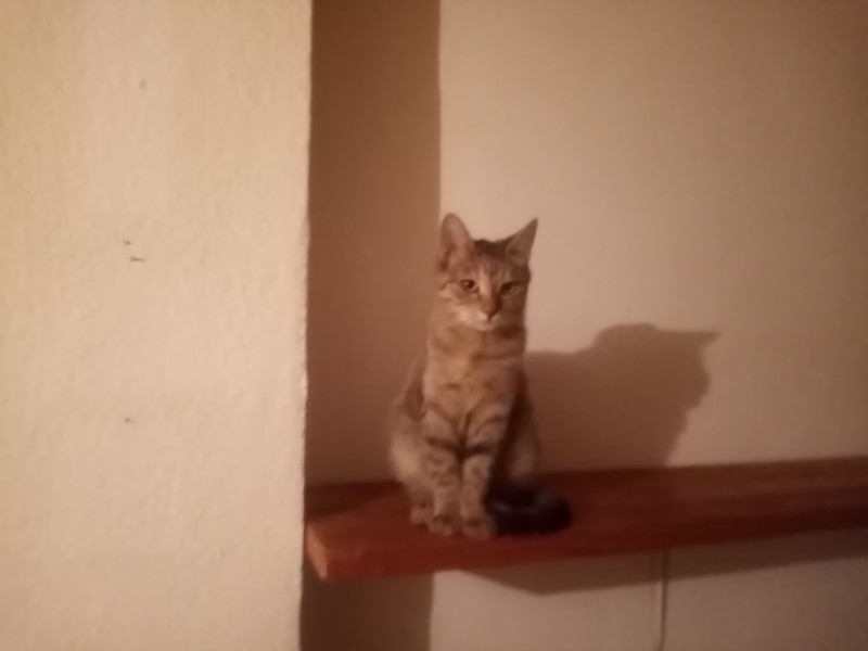 zoza1958 uploaded   78  day/s  ago