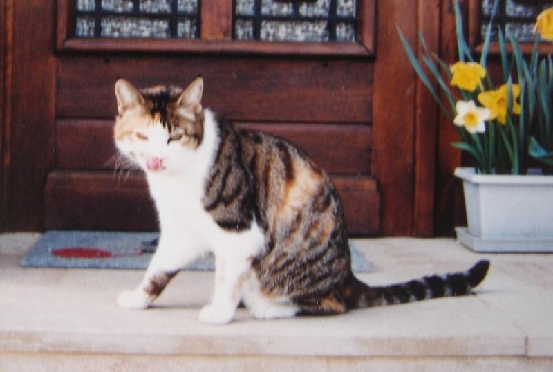 zoza1958 uploaded   78  day/s  ago