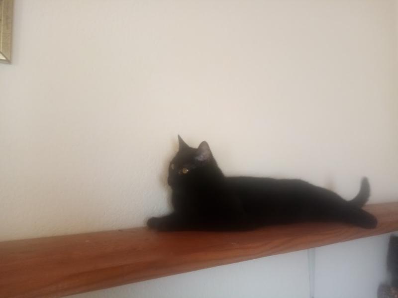 zoza1958 uploaded   55  day/s  ago