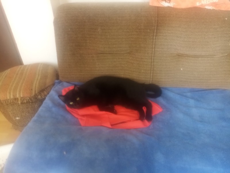 zoza1958 uploaded   55  day/s  ago