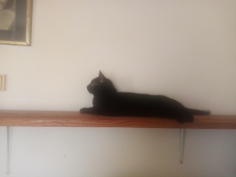 zoza1958 uploaded   55  day/s  ago