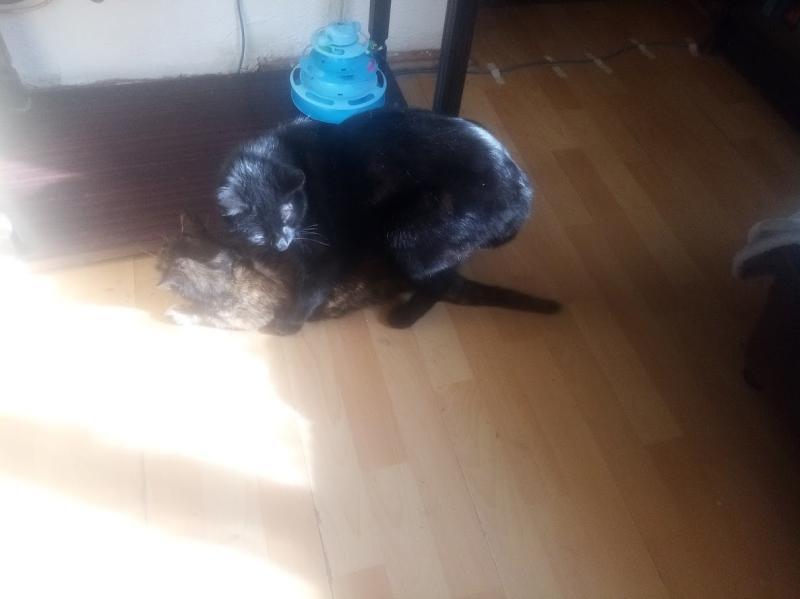 zoza1958 uploaded   17  day/s  ago