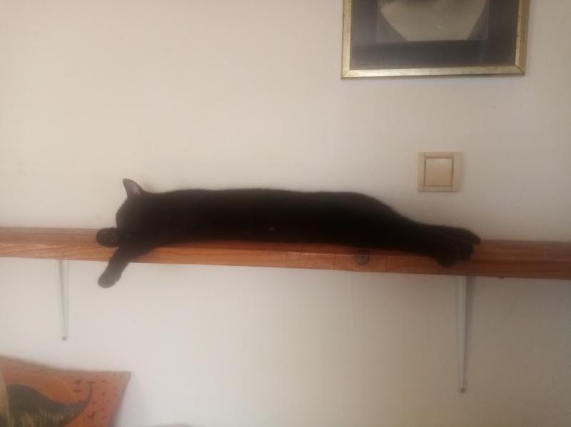 zoza1958 uploaded   43  day/s  ago