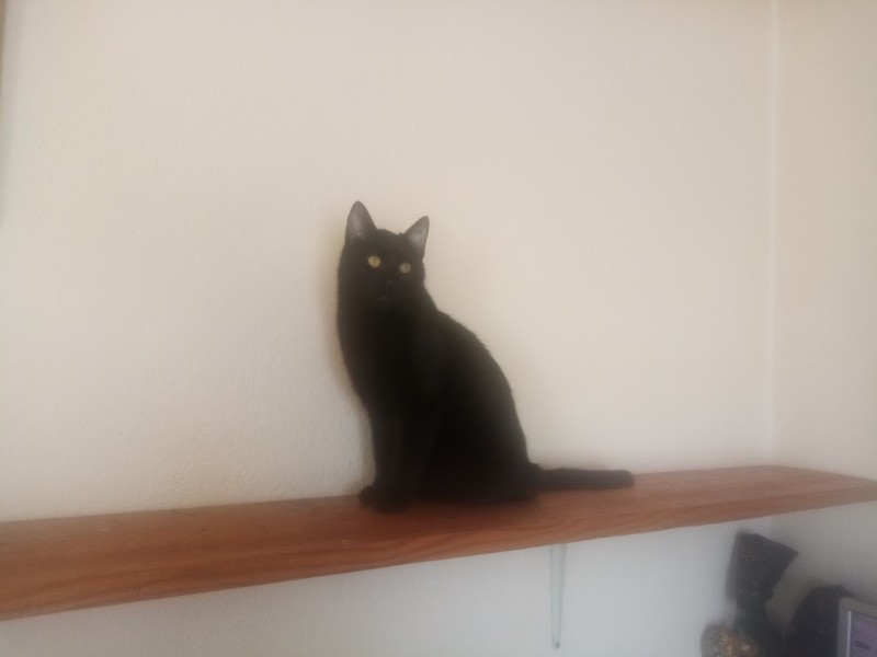 zoza1958 uploaded   55  day/s  ago