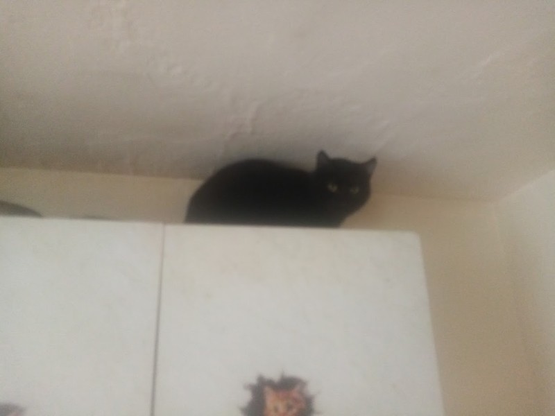 zoza1958 uploaded   55  day/s  ago