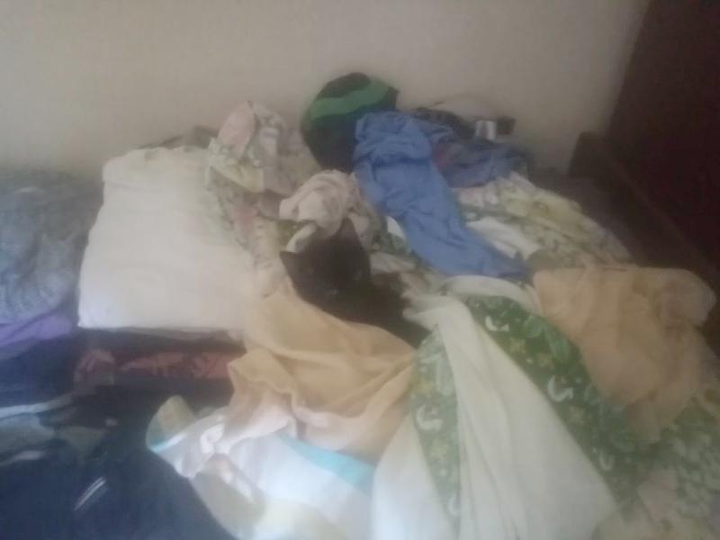 zoza1958 uploaded   30  day/s  ago