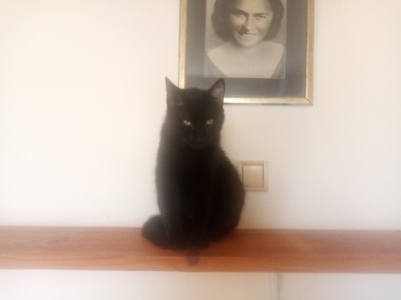 zoza1958 uploaded   30  day/s  ago