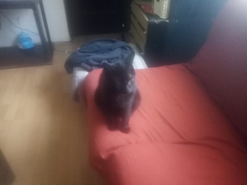 zoza1958 uploaded   11  day/s  ago