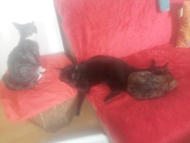 zoza1958 uploaded   17  day/s  ago