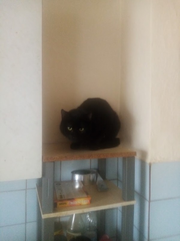 zoza1958 uploaded   55  day/s  ago