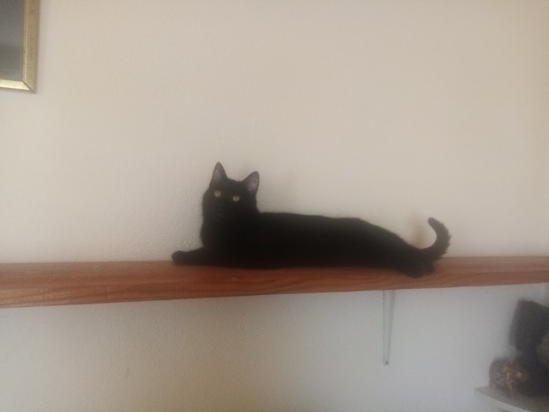 zoza1958 uploaded   55  day/s  ago