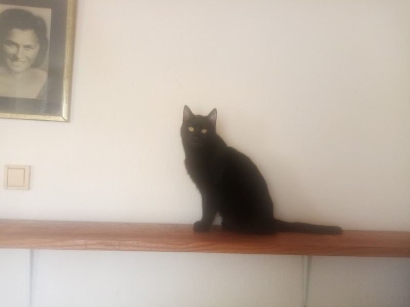 zoza1958 uploaded   55  day/s  ago