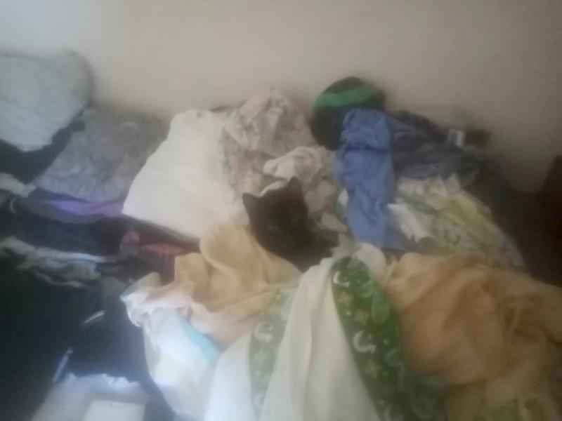 zoza1958 uploaded   30  day/s  ago