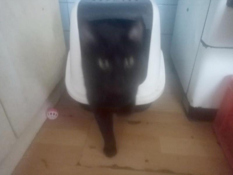 zoza1958 uploaded   11  day/s  ago