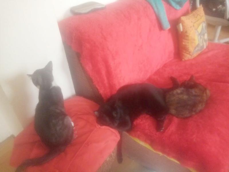 zoza1958 uploaded   17  day/s  ago