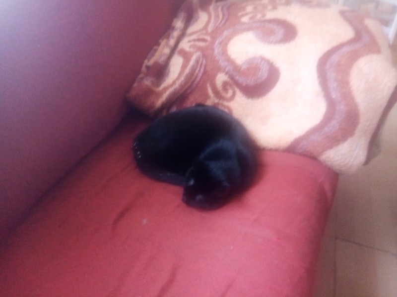 zoza1958 uploaded   55  day/s  ago