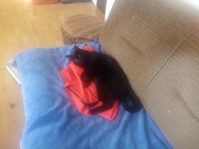 zoza1958 uploaded   55  day/s  ago