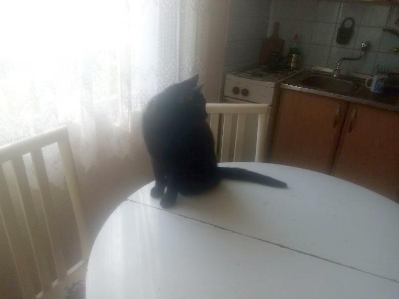 zoza1958 uploaded   17  day/s  ago