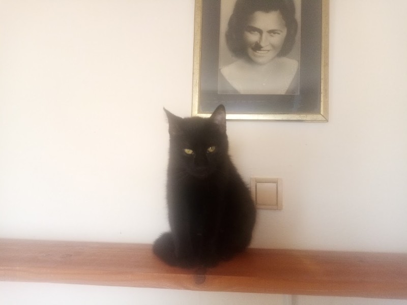 zoza1958 uploaded   30  day/s  ago