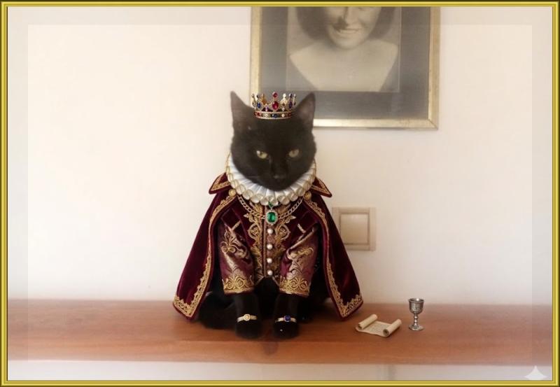 Prince Figaro of the zoza1958 family
