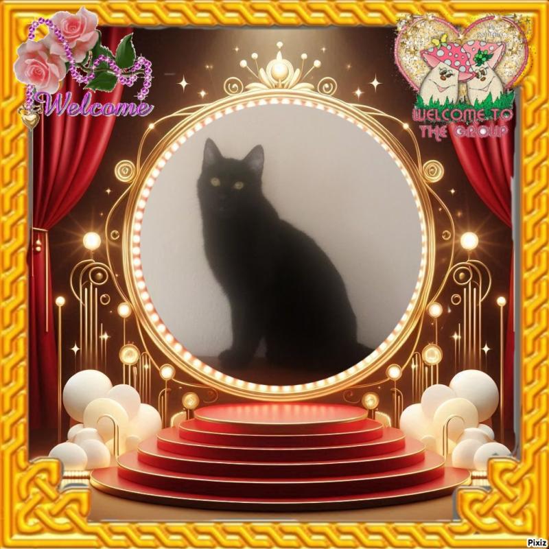 zoza1958 uploaded   57  day/s  ago