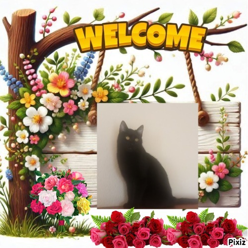 Prince Figaro of the zoza1958 family