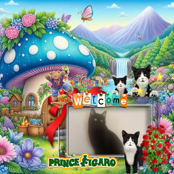 Prince Figaro of the zoza1958 family